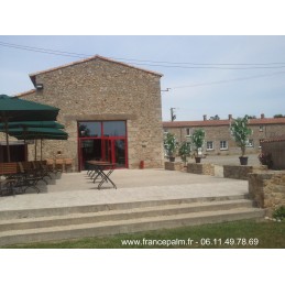 Location Glycine Blanche