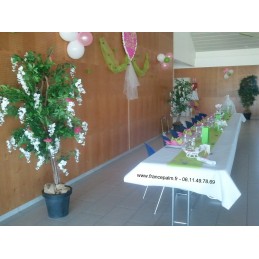 Location Glycine Blanche