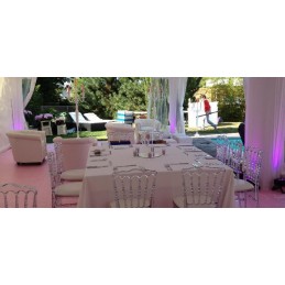 Location superbe chaise type napoléon transparente (vendée)