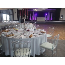 Location superbe chaise type napoléon transparente (vendée)