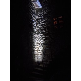 Location Projecteur de décoration sur batterie 50W RGBW DMX HF (Blanc)