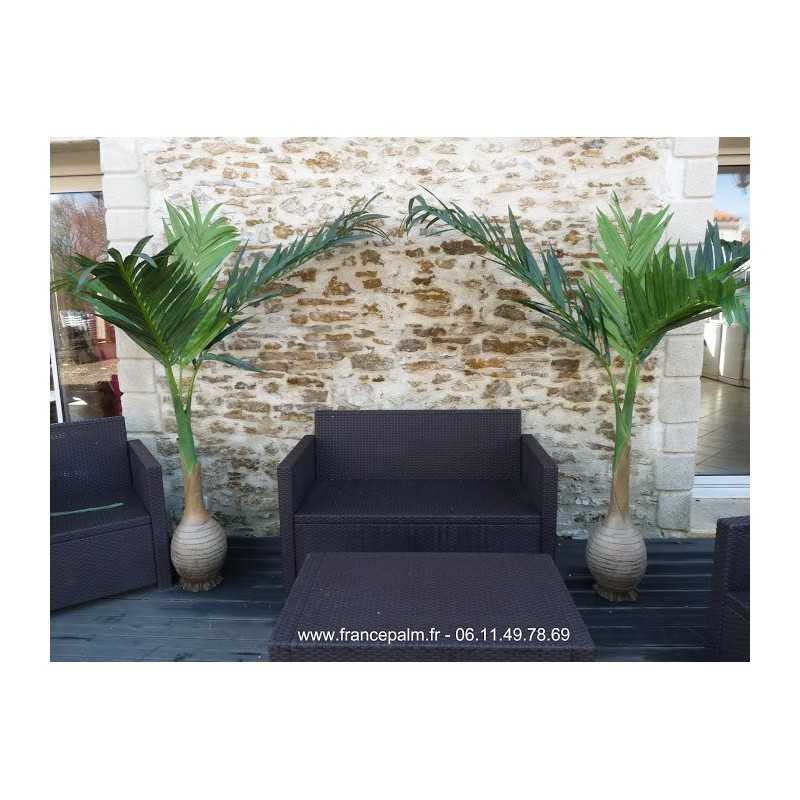 palmier bouteille plastique