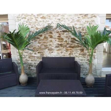 palmier bouteille plastique