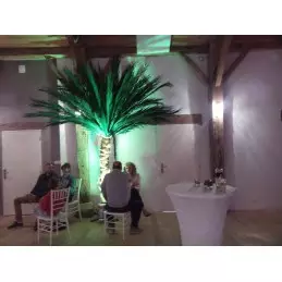 Palmier semi-naturel 2m50 en location vendee