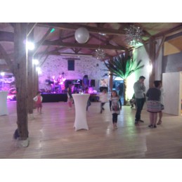 Palmier semi-naturel 2m50 en location vendee