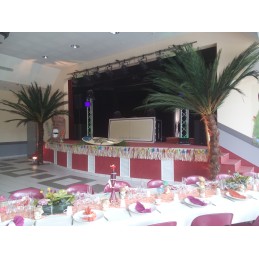 Palmier semi-naturel 2m50 en location vendee