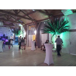 Palmier semi-naturel 2m50 en location vendee