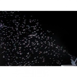 Location Machine à bulles sur batterie