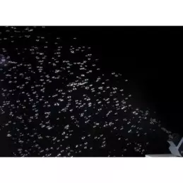 Location Machine à bulles sur batterie