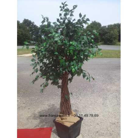Ficus classique artificiel