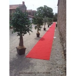 Ficus classique artificiel