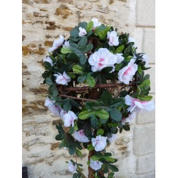 Location arbuste boule type mariage