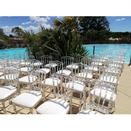 Location superbe chaise type napoléon transparente (vendée)