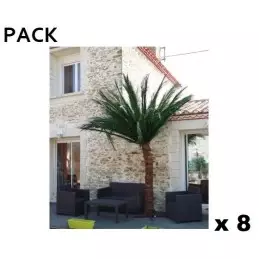 Location pack 8 palmiers naturalisés (vendée)