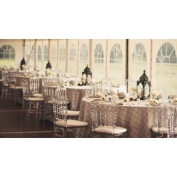 Location superbe chaise type napoléon transparente (vendée)