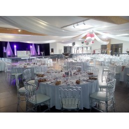 Location superbe chaise type napoléon transparente (vendée)