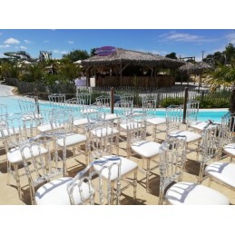 Location superbe chaise type napoléon transparente (vendée)